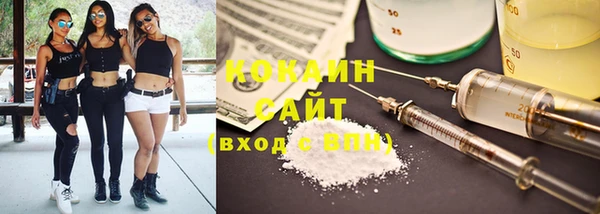 спиды Ельня