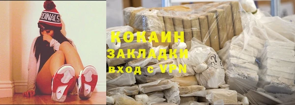 спиды Ельня