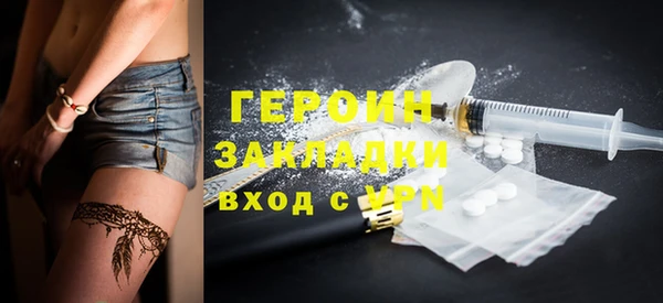 спиды Ельня