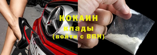 спиды Ельня