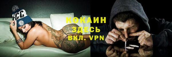 спиды Ельня