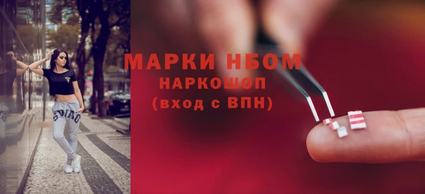 спиды Ельня