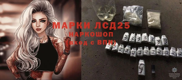ешки Бердск